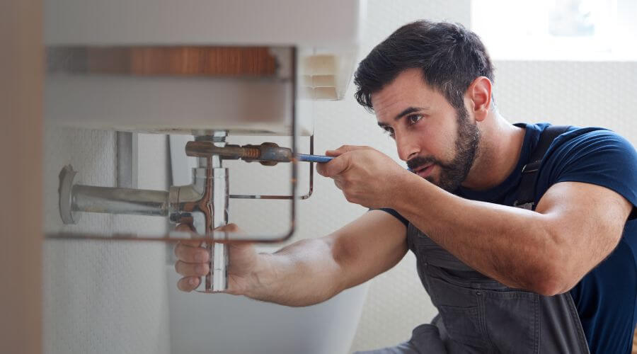 Trap Repair/Replacement in Milton, DE